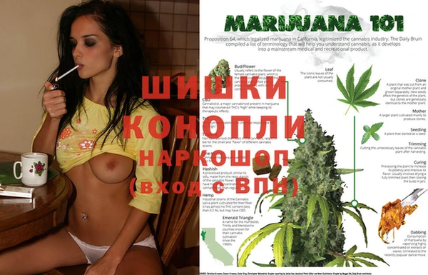 винт Алексин