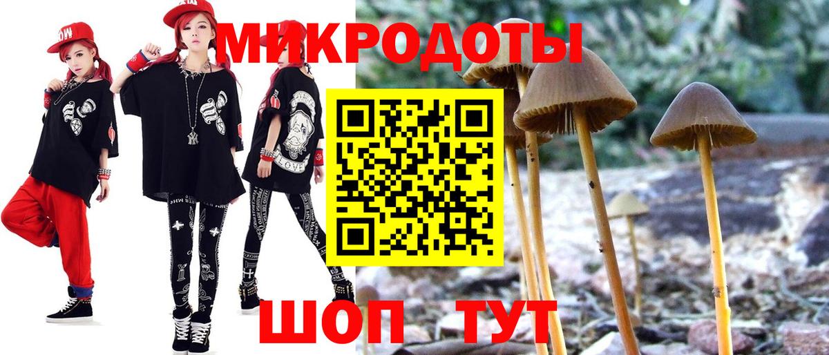 Псилоцибиновые грибы MAGIC MUSHROOMS  Вход с VPN  Керчь 