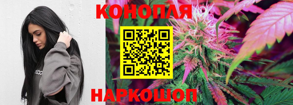 Шишки марихуана планчик  Шишки марихуана гибрид  Керчь  Вход с VPN 